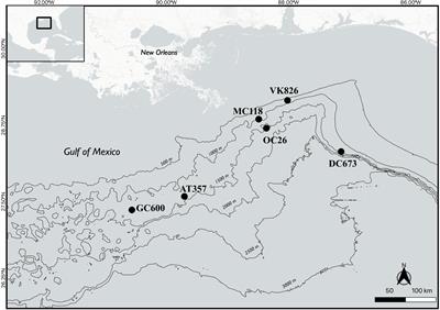 Sediment Resuspension and Associated Extracellular Enzyme Activities Measured ex situ: A Mechanism for Benthic-Pelagic Coupling in the Deep Gulf of Mexico